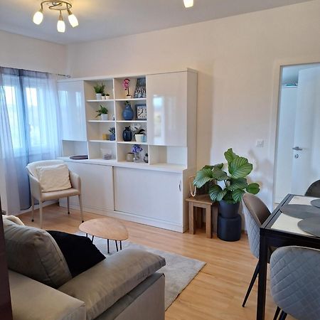 Apartment Dorina Buje Buitenkant foto