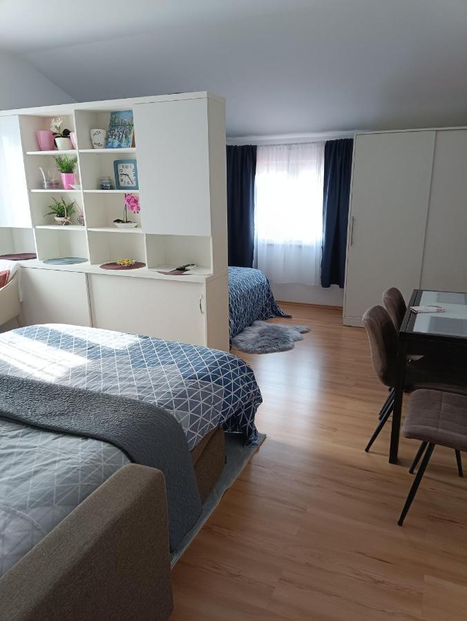 Apartment Dorina Buje Buitenkant foto