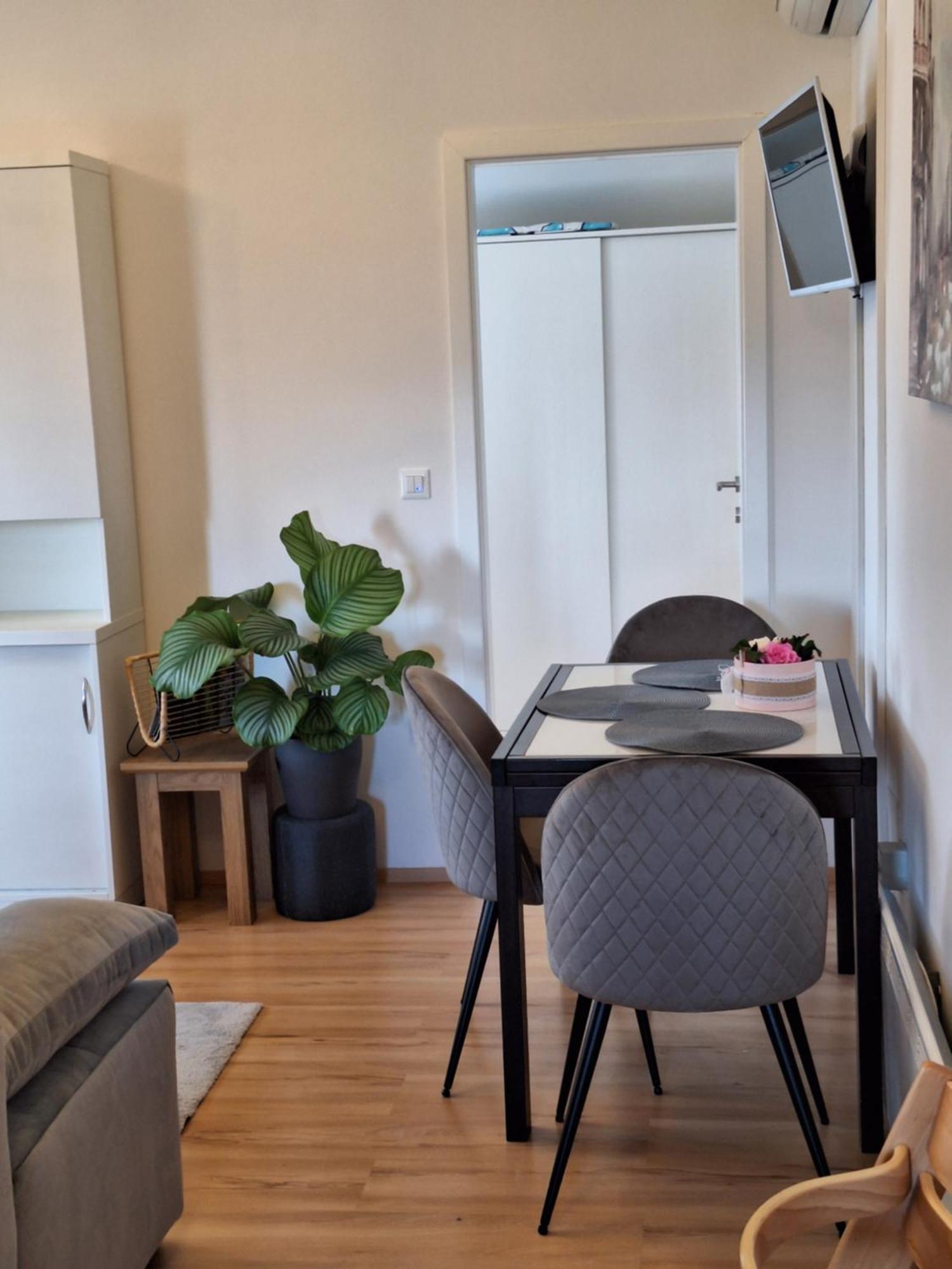 Apartment Dorina Buje Buitenkant foto