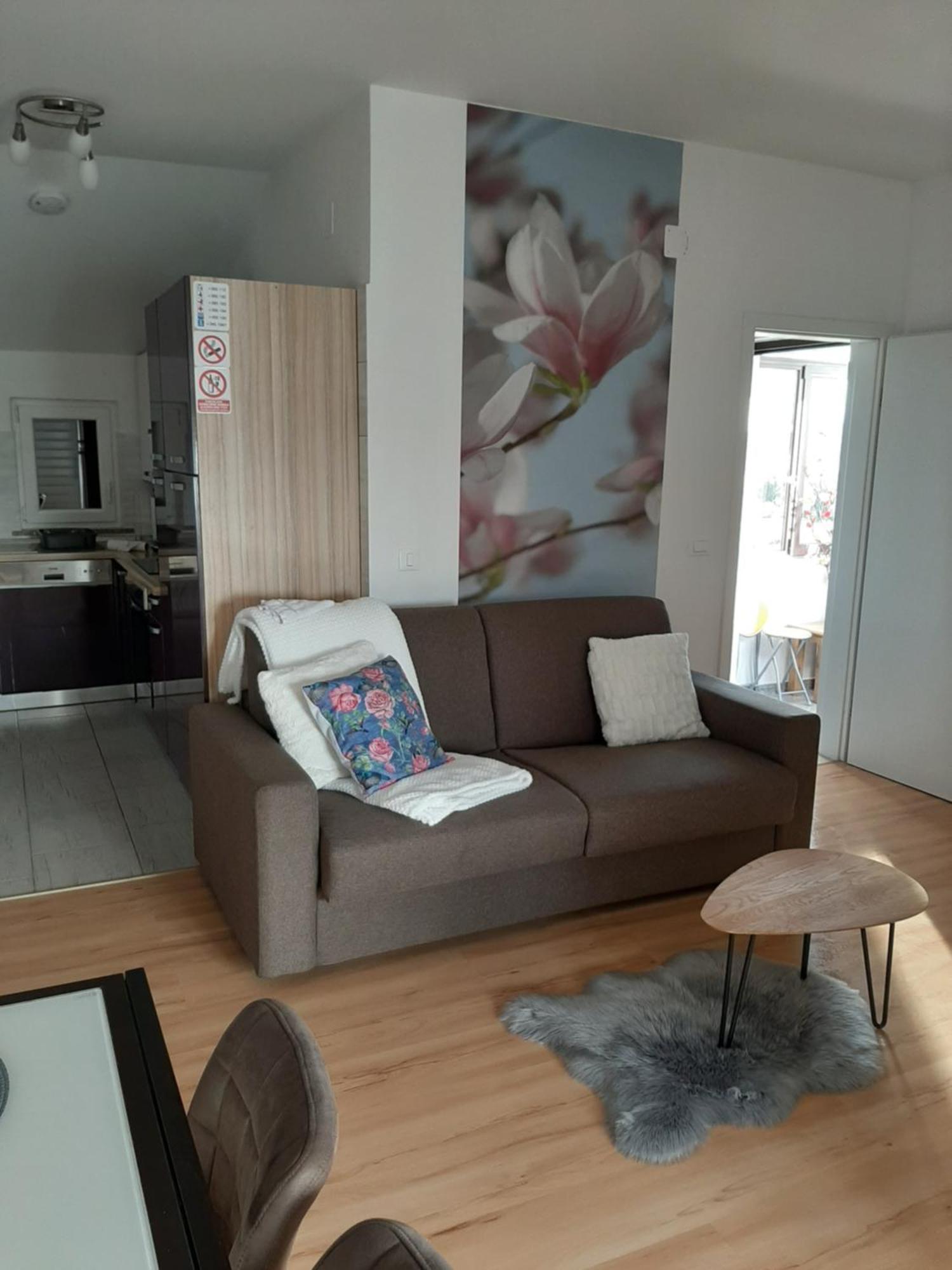 Apartment Dorina Buje Kamer foto